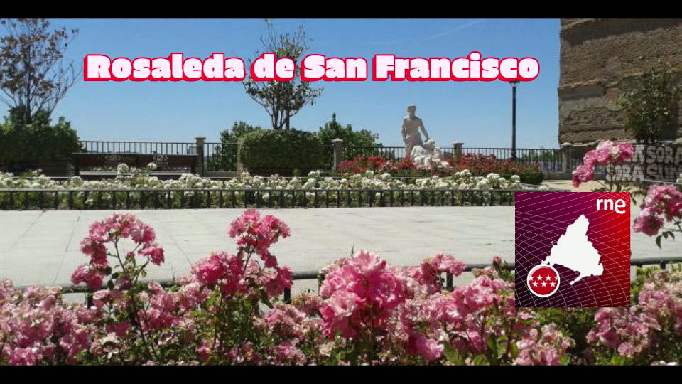 Rosaleda de San Francisco